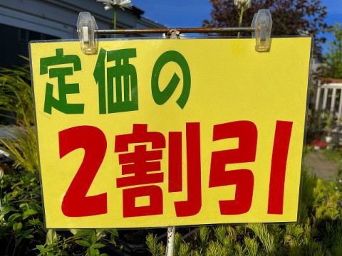 【お知らせ】セールのご案内