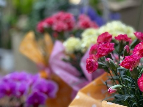 5月11日(日)は母の日です