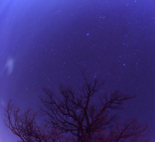 今夜の星空撮影 1/29