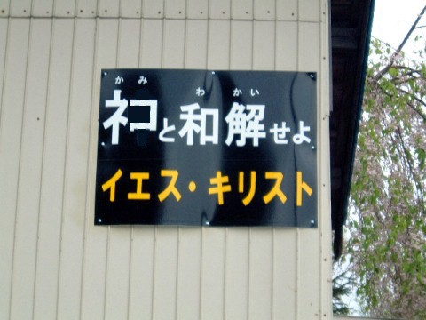 猫と和解せよ。　[猫書]猫の信徒への手紙　2章 22節