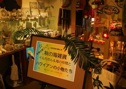 秋の雑貨たち!イルカさんと海の仲間・・・