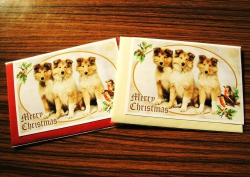 クリスマスカードに~ビスの仲間が・・・