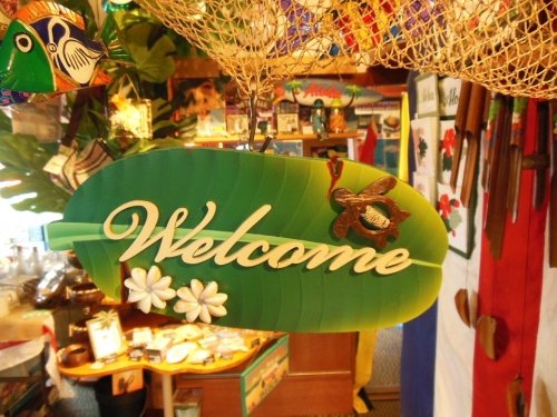 お部屋の中は南国~!