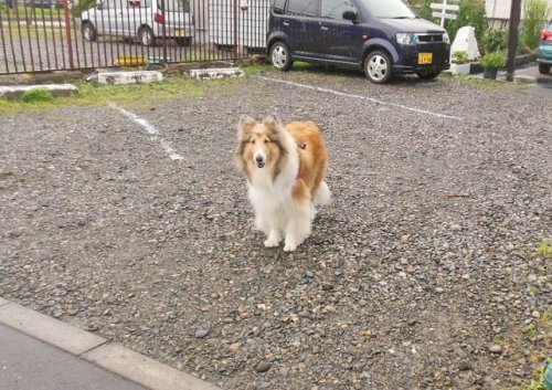 ビスの営業活動・・・と、本日最終日です。