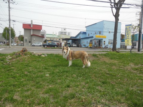 ライオン?つながり・・・。