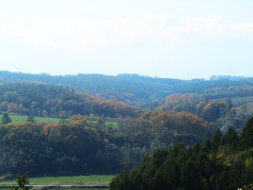 秋の野山