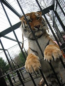 行けなかった・・・帯広動物園　