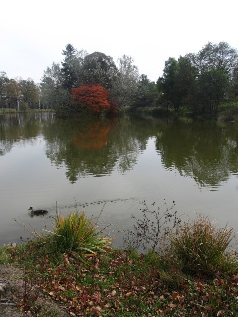 緑ヶ丘公園