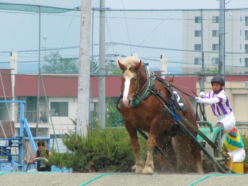 2番が好いな～～