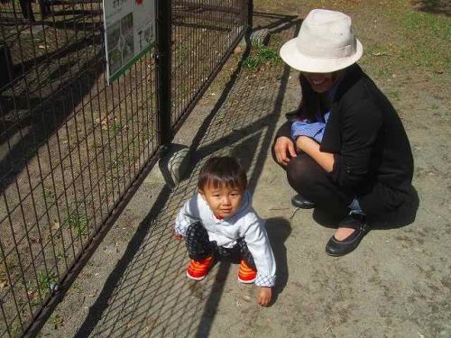 帯広動物園　この親子に渡してくれ　