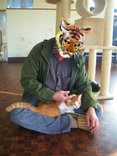 Cat Cafe Wish 初めて 乱入!