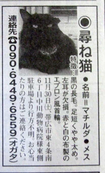 マチルダ 行方不明