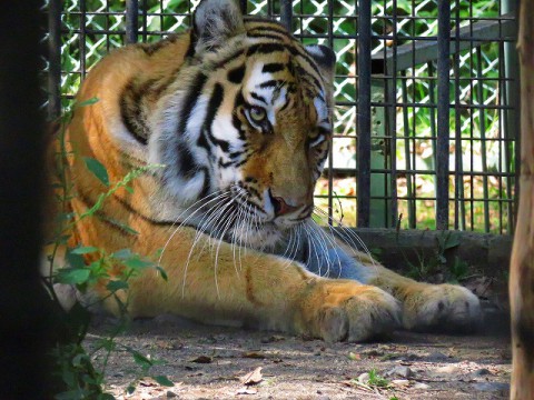 帯広動物園　2016.09.24