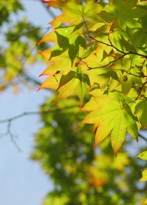 ちょっと待ってよ！