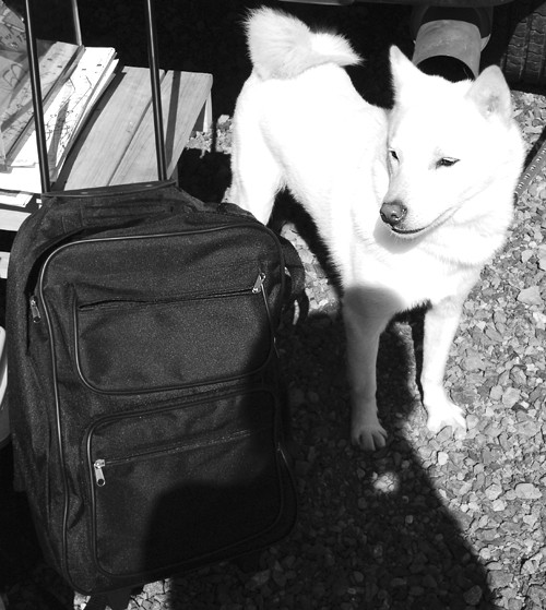 店長・珈琲・打上