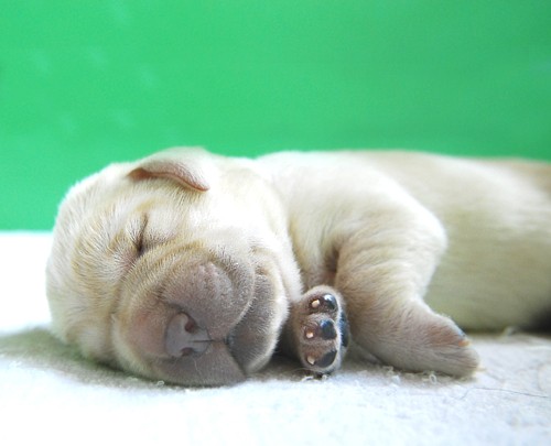 仕事が、進まない!