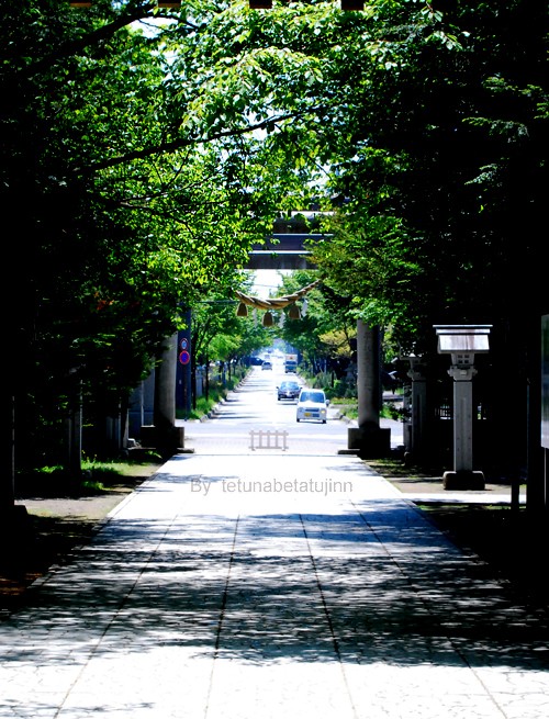 新緑の今日のこと