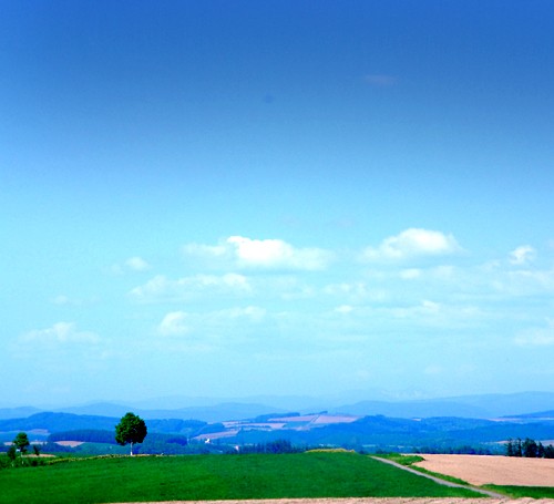 FURANO MARCHE