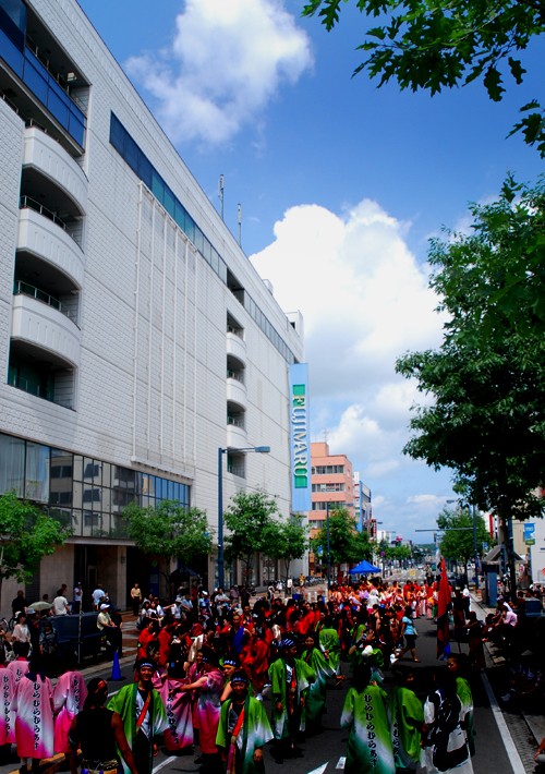 昨日、ホコテン、YOSAKOI、今日