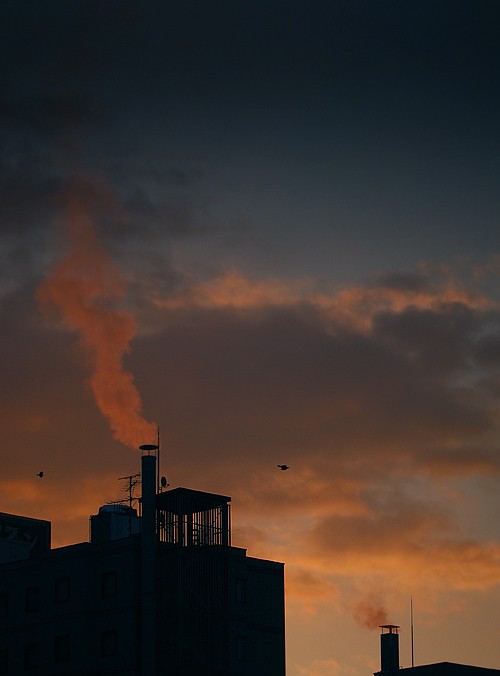 本当は、もっと凍てほしい～