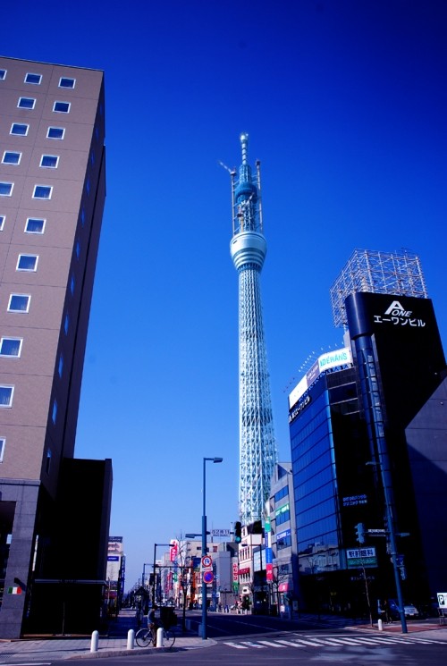 今日は4月1日ですネ~w