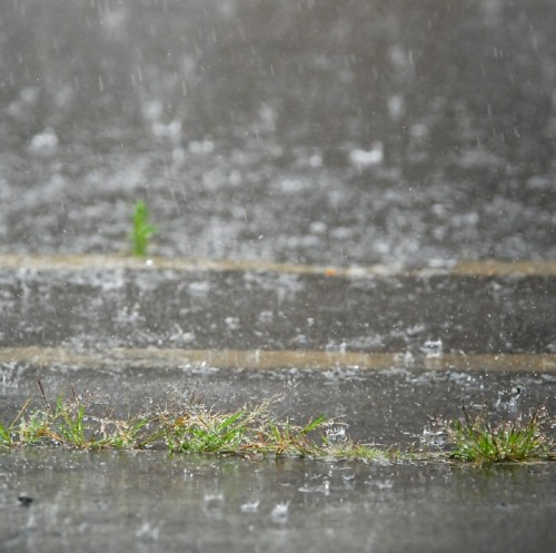 晩ご飯、昼ご飯。　新しいレンズ50㎜Ｆ1.4