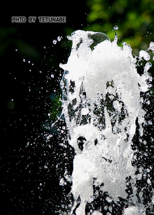 今年の最後の夏の日になるのでしょうか～