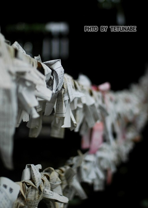 願いが叶いますように…