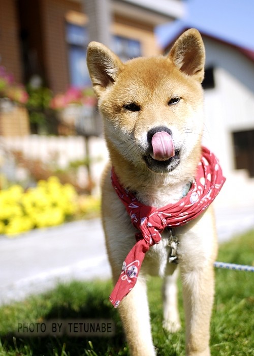 お願い~ 動かないで… ~w