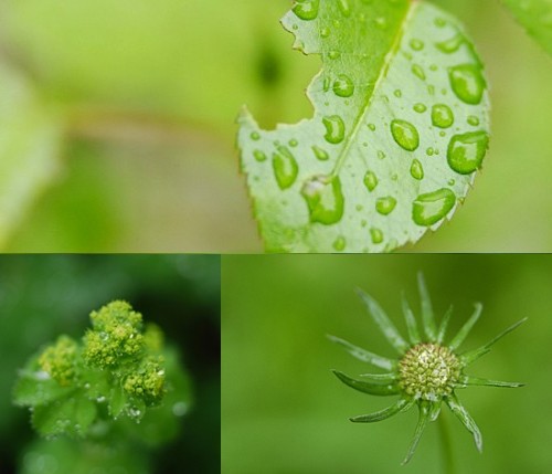 雨の日の休日