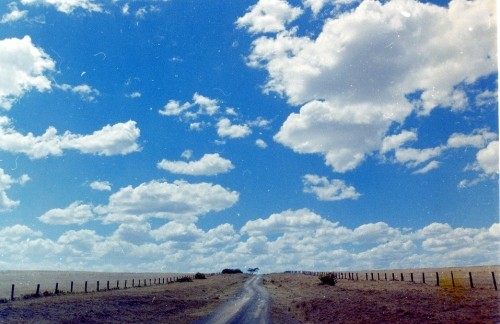 サファリロード