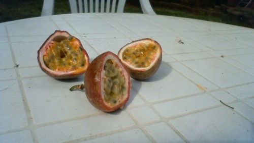 パッションフルーツ