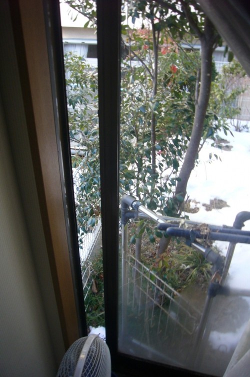 そうだったのか？