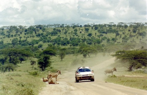 ロバとランサー