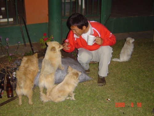 マッドドックと