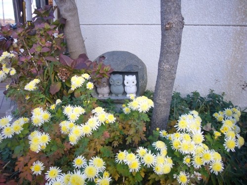かたすみに