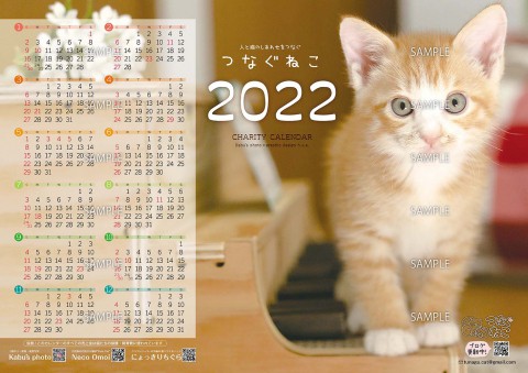 子猫のチャリティーカレンダー