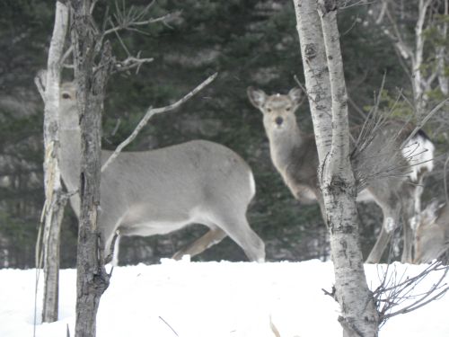 山神様に怒られた様な気が！