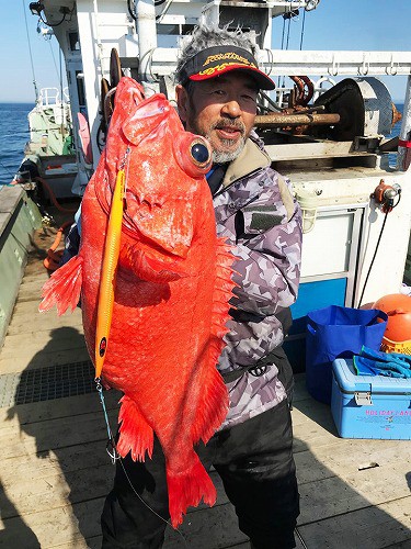 キンキ、メヌケ、大津沖ジギング釣り