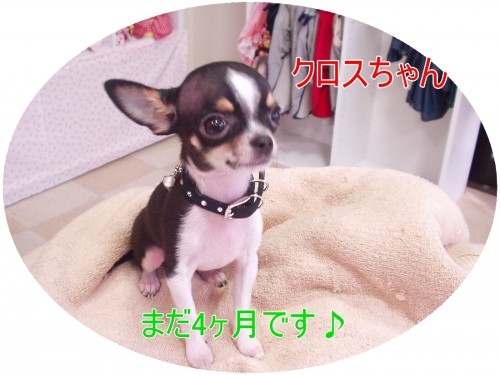 み~んな可愛いいね♪