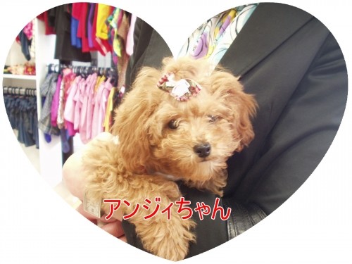 おでかけ楽しいね♪