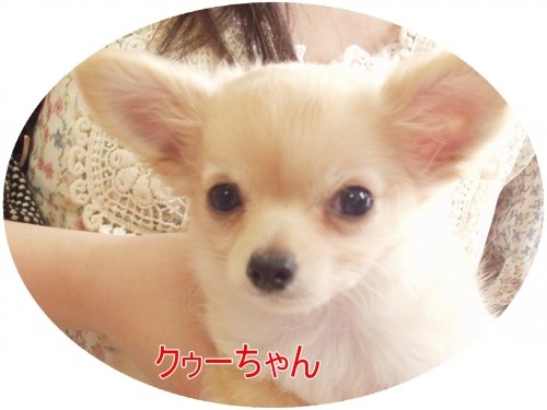 遅くなってゴメン。。。ね♪(U・ω・U)