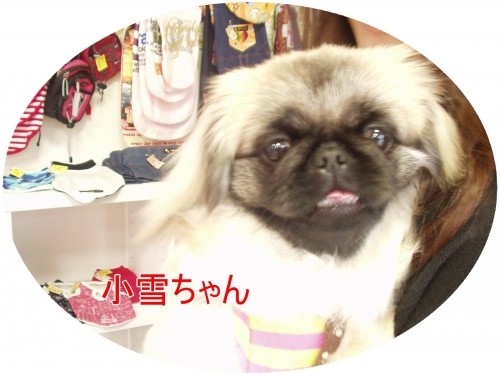 み～んな可愛いいね♪（U・ω・U）