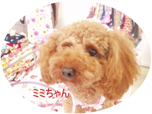 やっとPC復帰。。。(U・ω・U)