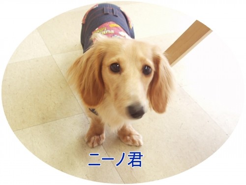 なんか変だなぁ～（U・ω・U）