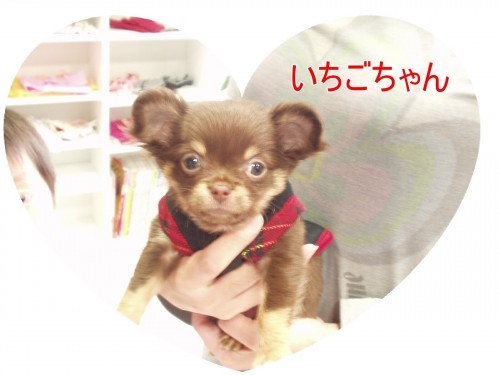 かわいい~ね♪(U・ω・U)