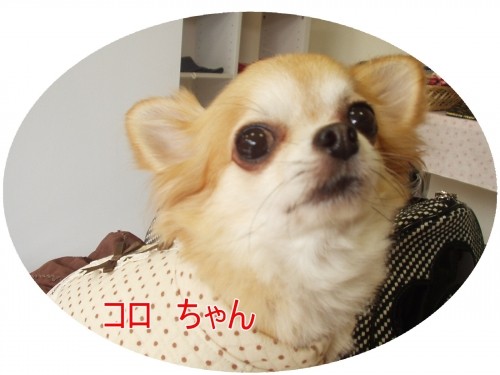 感謝!です~♪ (U・ω・U)