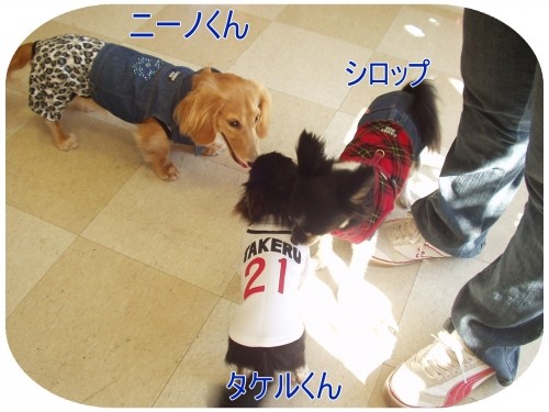 遊ぼうよ~ (U・ω・U)