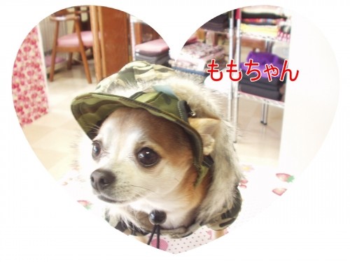 冬準備OK!だね♪ (U・ω・U)