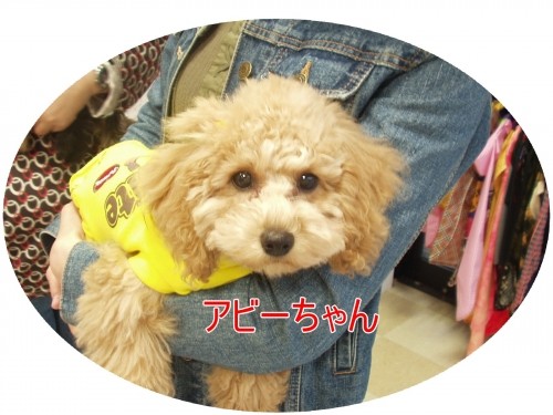 おりこうさんで～す♪　（U・ω・U）